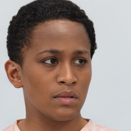 Neutral black young-adult female with short  brown hair and brown eyes