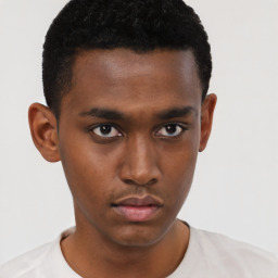 Neutral black young-adult male with short  brown hair and brown eyes