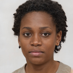 Neutral black young-adult female with short  brown hair and brown eyes