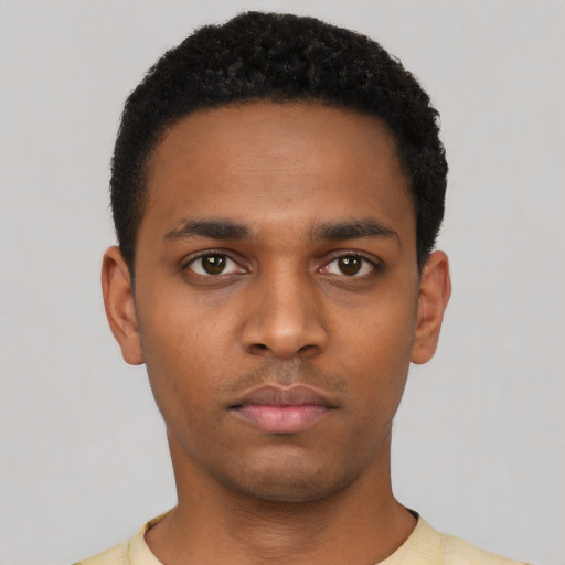 Neutral black young-adult male with short  black hair and brown eyes