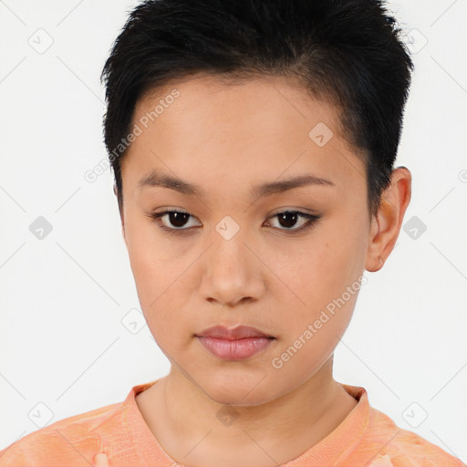 Neutral asian young-adult female with short  brown hair and brown eyes