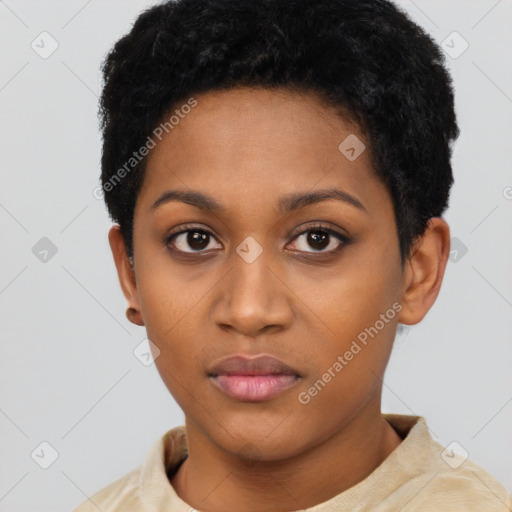 Neutral black young-adult female with short  black hair and brown eyes