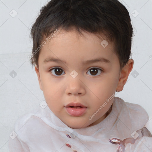 Neutral white child male with short  brown hair and brown eyes