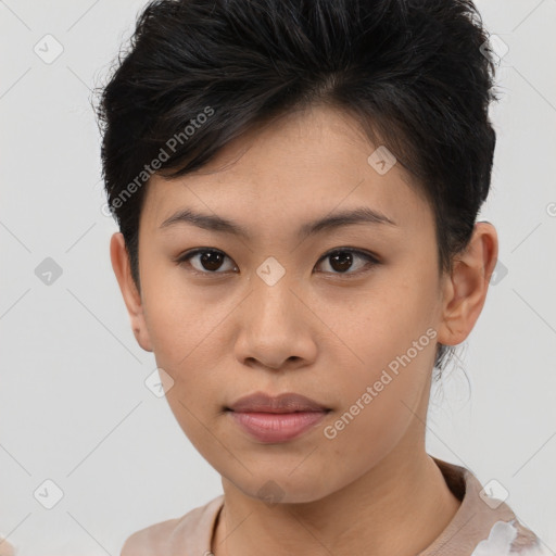 Neutral asian young-adult female with short  brown hair and brown eyes