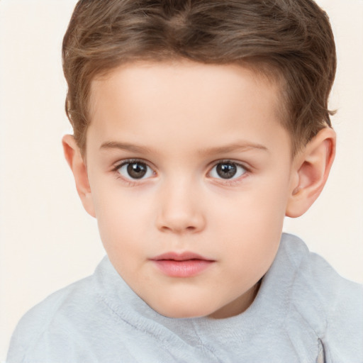 Neutral white child male with short  brown hair and brown eyes