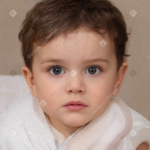 Neutral white child male with short  brown hair and brown eyes