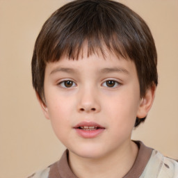 Neutral white child male with short  brown hair and brown eyes