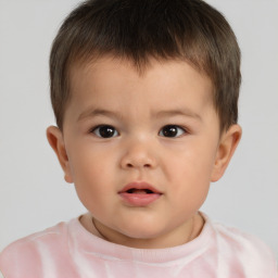 Neutral white child male with short  brown hair and brown eyes