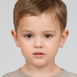 Neutral white child male with short  brown hair and brown eyes