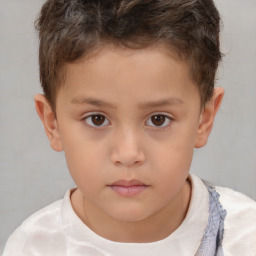 Neutral white child male with short  brown hair and brown eyes