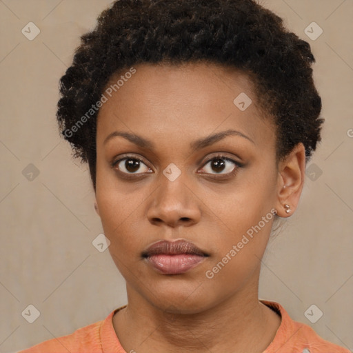 Neutral black young-adult female with short  brown hair and brown eyes