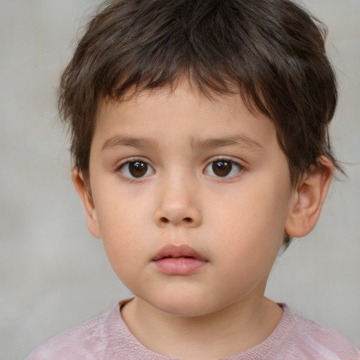 Neutral white child male with short  brown hair and brown eyes