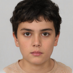 Neutral white child male with short  brown hair and brown eyes