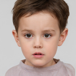 Neutral white child male with short  brown hair and brown eyes