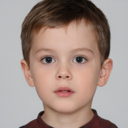 Neutral white child male with short  brown hair and brown eyes