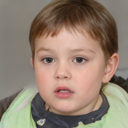 Neutral white child male with short  brown hair and brown eyes