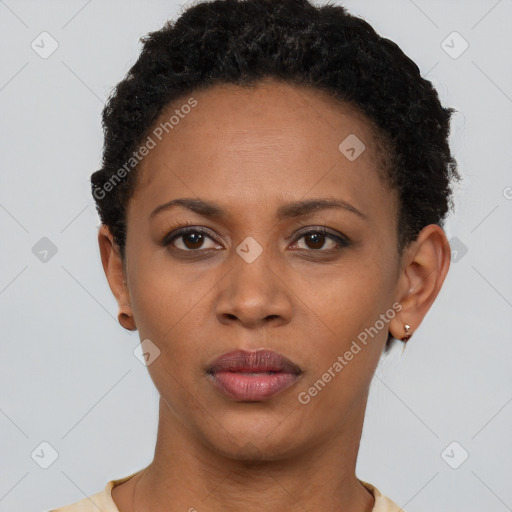 Neutral black young-adult female with short  brown hair and brown eyes