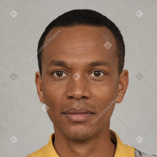 Neutral black young-adult male with short  black hair and brown eyes