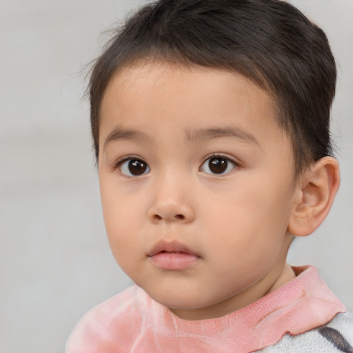 Neutral white child male with short  brown hair and brown eyes