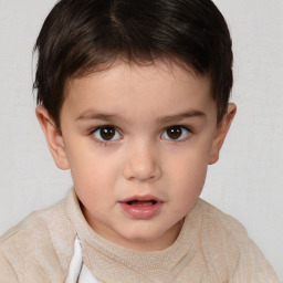 Neutral white child male with short  brown hair and brown eyes