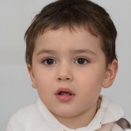 Neutral white child male with short  brown hair and brown eyes