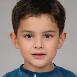 Neutral white child male with short  brown hair and brown eyes