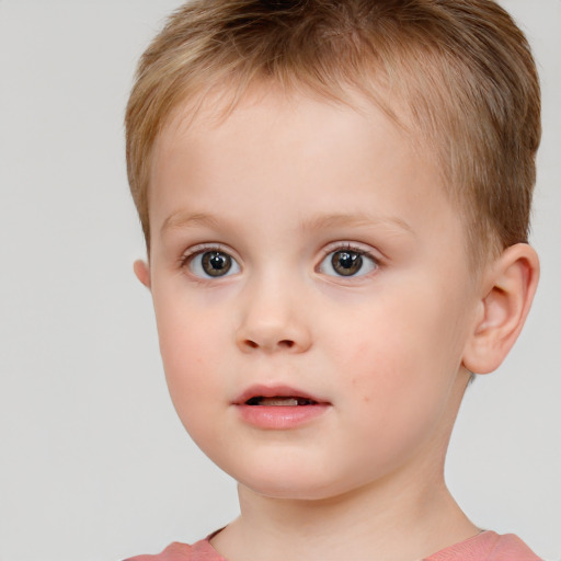 Neutral white child male with short  brown hair and brown eyes