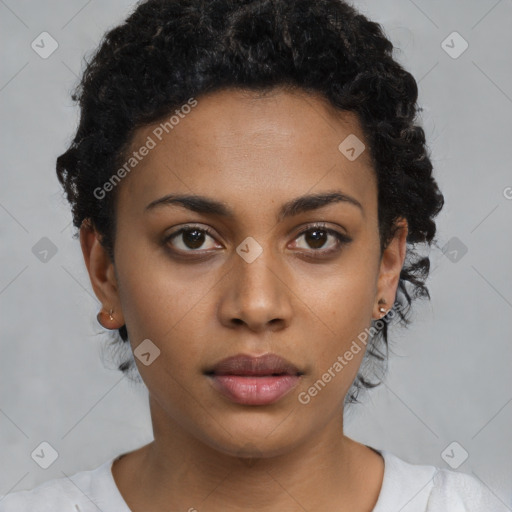 Neutral black young-adult female with short  brown hair and brown eyes