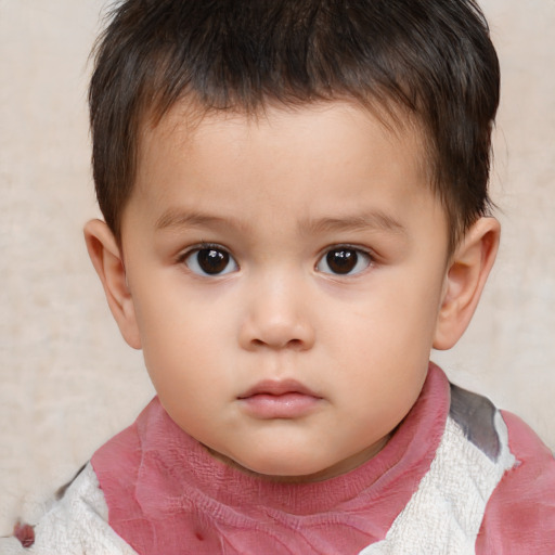 Neutral white child male with short  brown hair and brown eyes