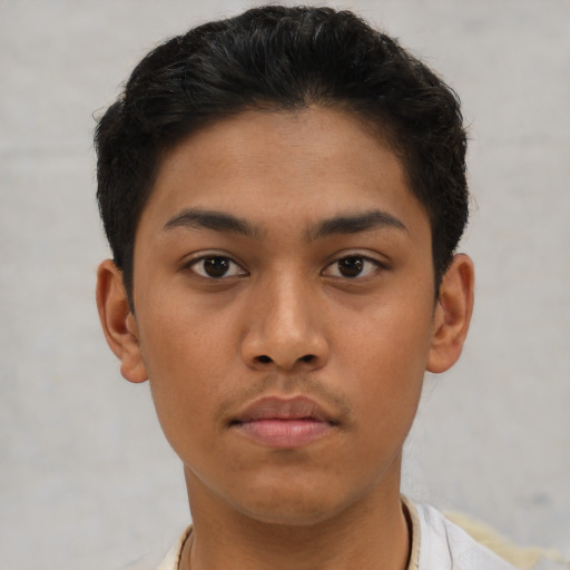 Neutral asian young-adult female with short  brown hair and brown eyes