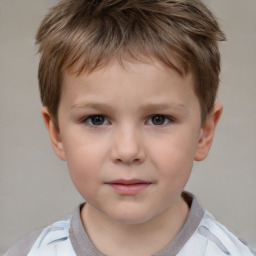 Neutral white child male with short  brown hair and brown eyes