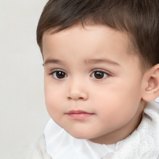 Neutral white child male with short  brown hair and brown eyes