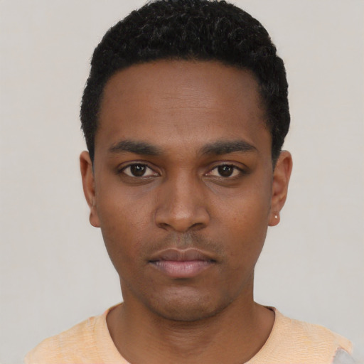 Neutral black young-adult male with short  black hair and brown eyes