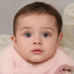 Neutral white child female with medium  brown hair and blue eyes