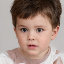 Neutral white child male with short  brown hair and brown eyes