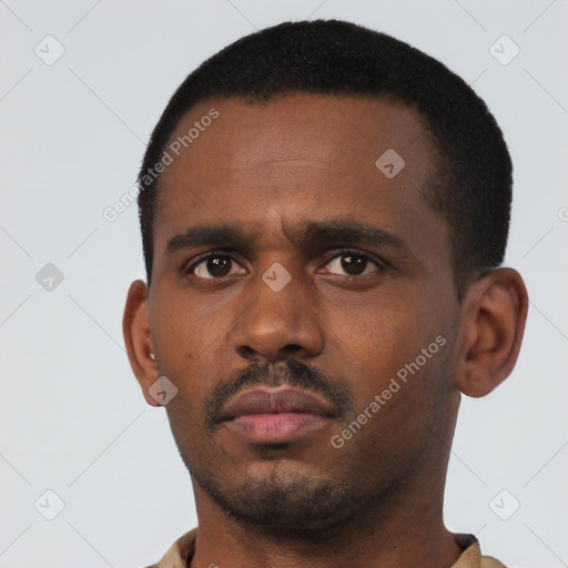 Neutral black young-adult male with short  black hair and brown eyes