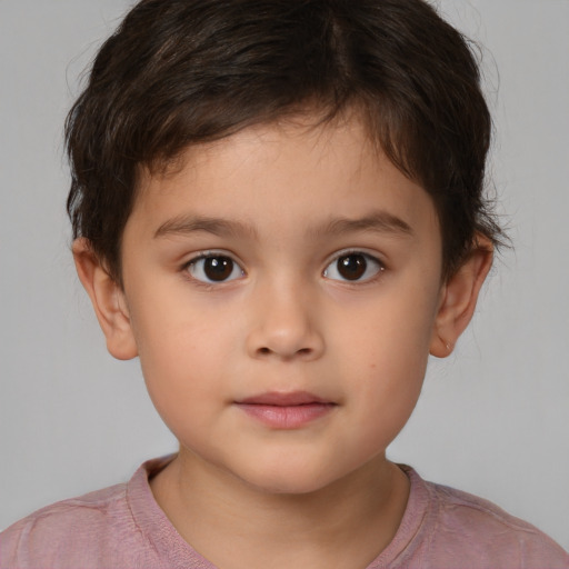 Neutral white child male with short  brown hair and brown eyes