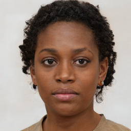 Neutral black young-adult female with short  brown hair and brown eyes