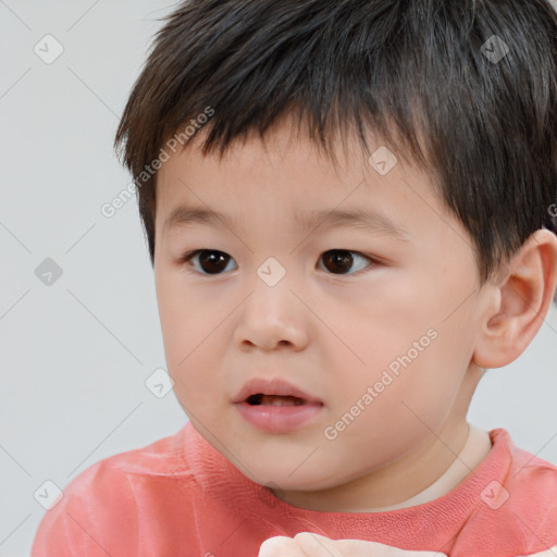 Neutral white child male with short  brown hair and brown eyes