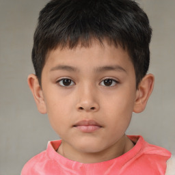 Neutral white child male with short  brown hair and brown eyes