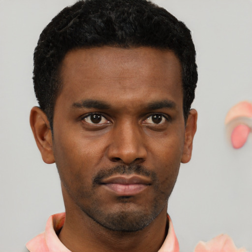 Neutral black young-adult male with short  black hair and brown eyes