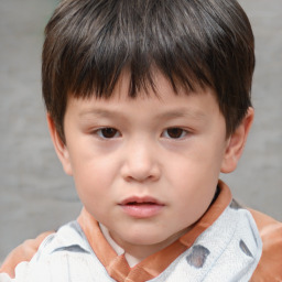 Neutral white child male with short  brown hair and brown eyes