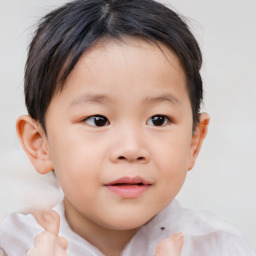 Neutral asian child male with short  brown hair and brown eyes