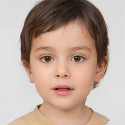 Neutral white child male with short  brown hair and brown eyes