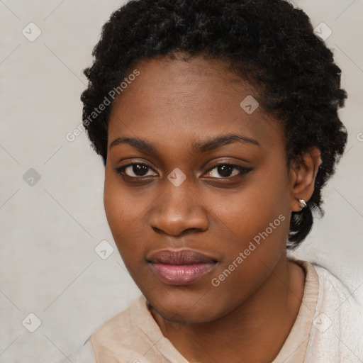 Joyful black young-adult female with short  black hair and brown eyes