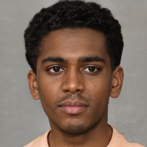 Neutral black young-adult male with short  black hair and brown eyes