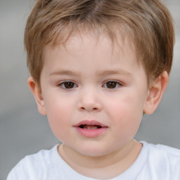 Neutral white child male with short  brown hair and brown eyes