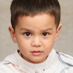 Neutral white child male with short  brown hair and brown eyes