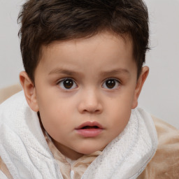 Neutral white child male with short  brown hair and brown eyes