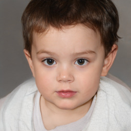Neutral white child male with short  brown hair and brown eyes